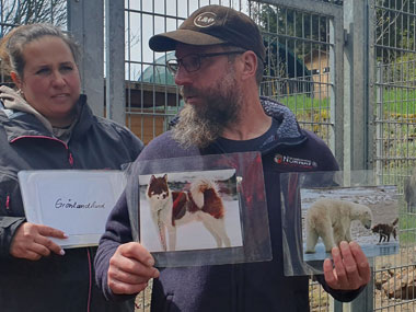 Ausflug zum Huskyhof am Dreisessel